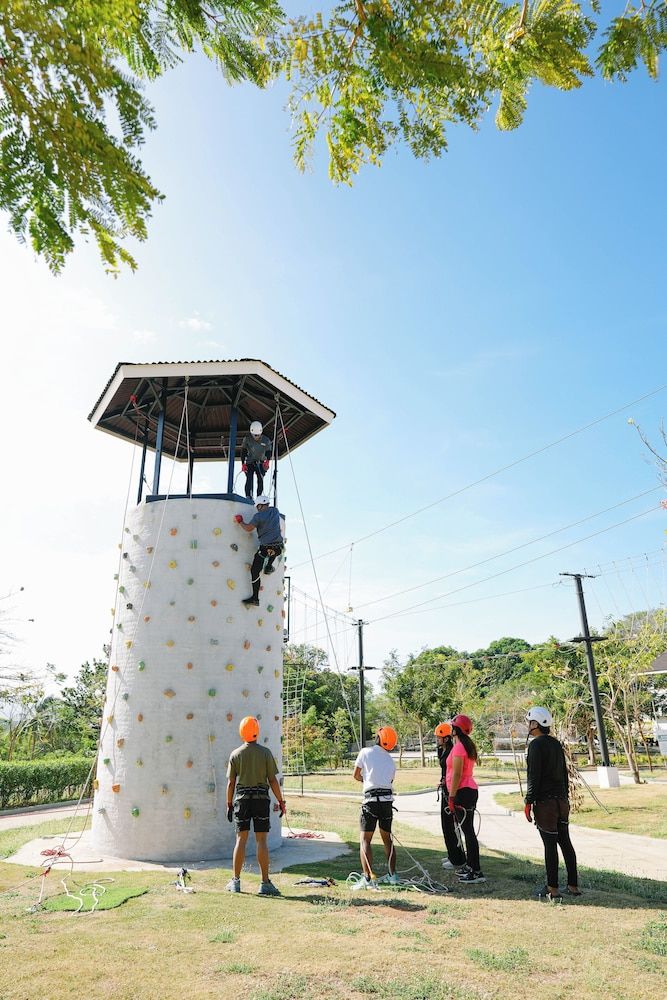 Rock Climbing Wall - Indoor