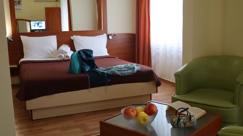 Palitra Family Hotel Comfort Double Room, 1 Bedroom 5