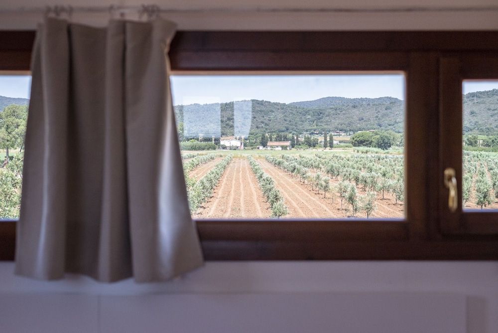 Agriturismo Terre di Castiglione Apartment, 1 Bedroom (Casale del Sole) 3