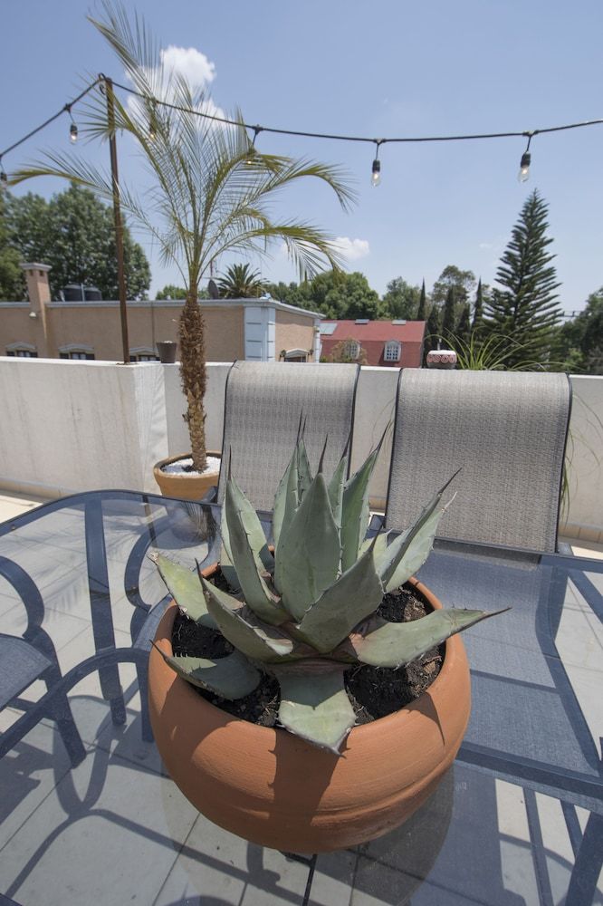 undefined Casa Hidalgo 10