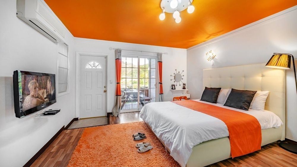 Star Sonata Pension Room (Rudbeckia)