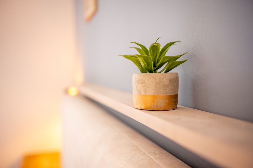 Apartment Bosanska Studio 16