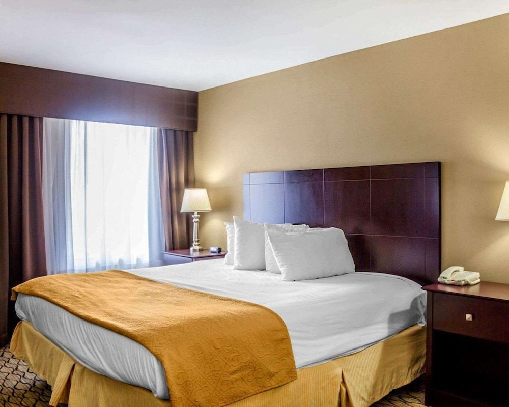 Standard Room, 1 King Bed, Non Smoking