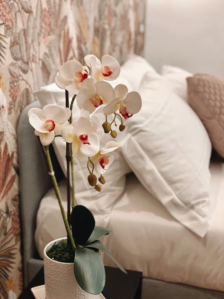 The Venue Sistina Standard Room 4