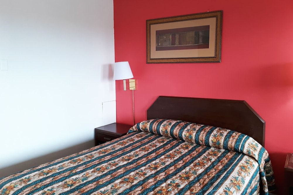 Room, 1 Twin Bed