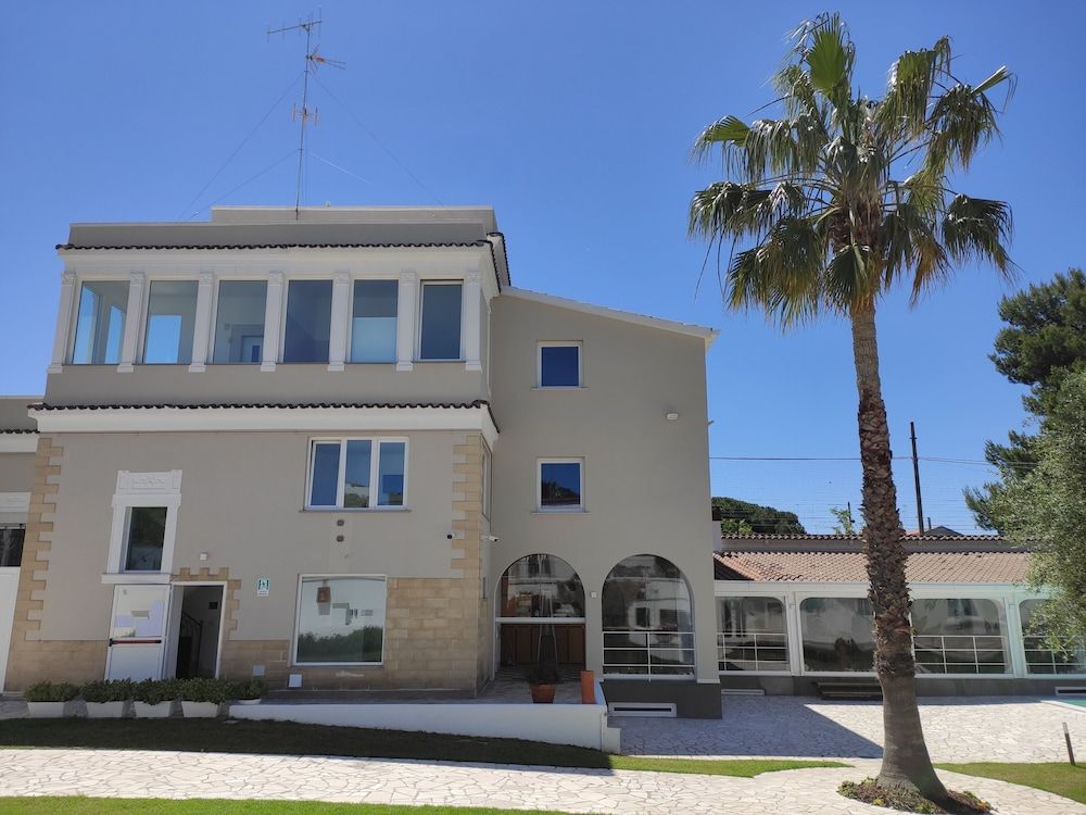 undefined Artemisia 5