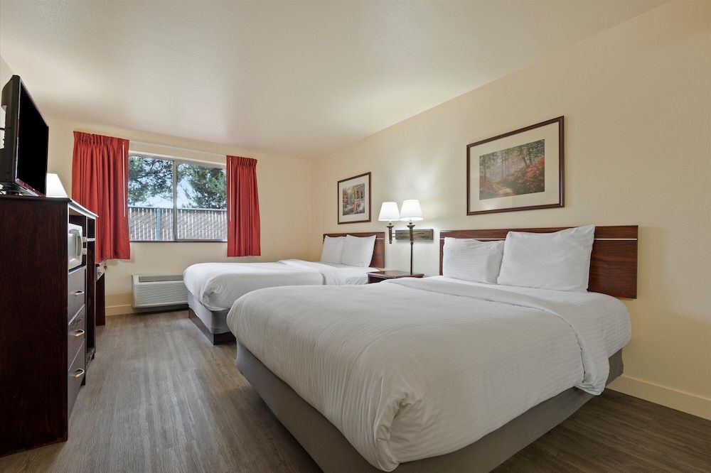 Basic Double Room