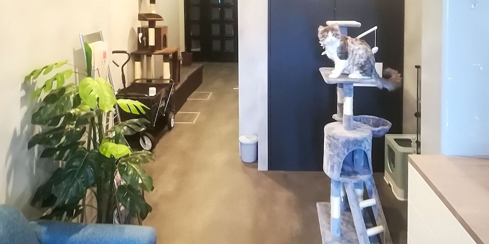 undefined Cote House 10