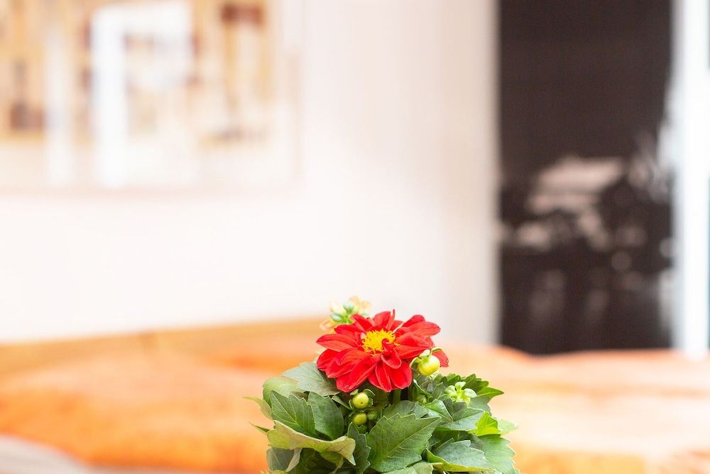 undefined Apartment11 Thüringer 5