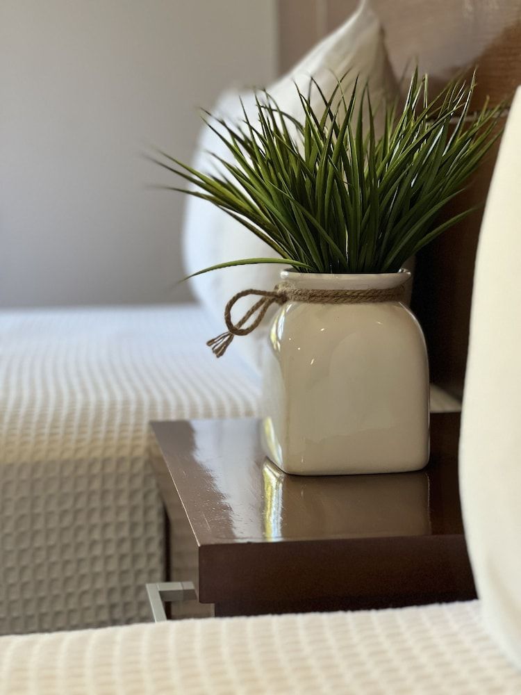 Mayan Water Hotel Basic Double Room, 2 Queen Beds 9