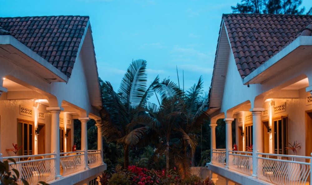 undefined The Nest Rugando 4