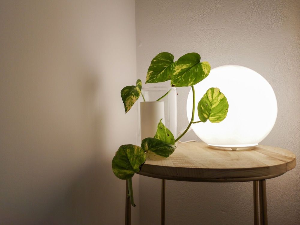 undefined B&B Civico 13 6