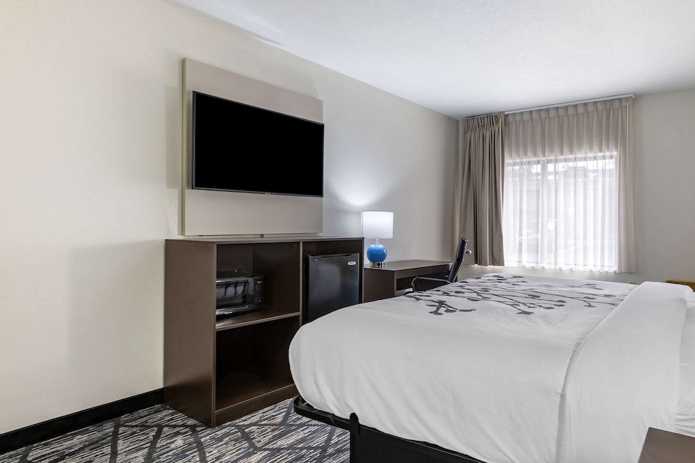 Sleep Inn & Suites Augusta West Near Fort Eisenhower Standard Room, 1 King Bed, Non Smoking 4