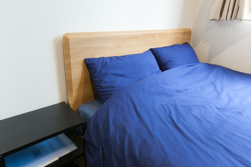 44824 Hotel Cocoro Inn Asakusa Kuramae Economy Double Room 2