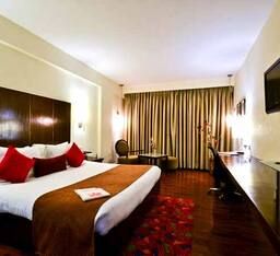 Premium King Bed Accessible Room