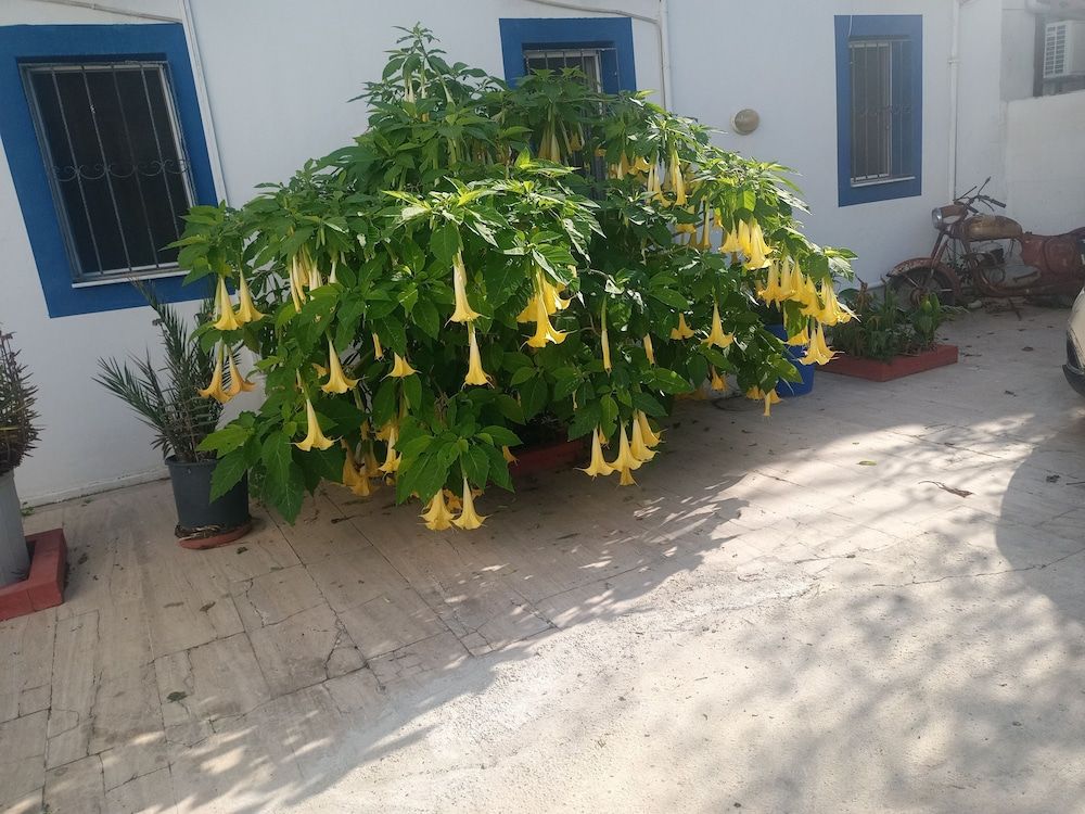 undefined Pay Otel 3