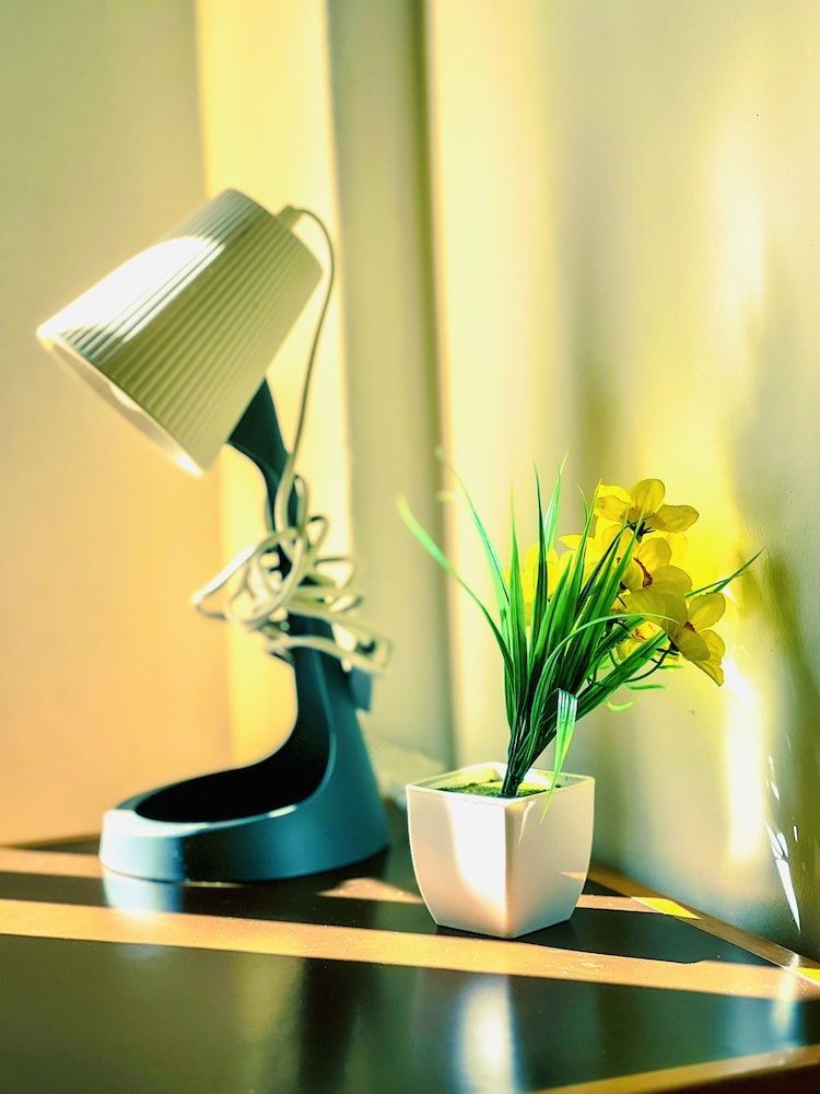 FORTUNE GUESTHOUSE Standard Double Room 3