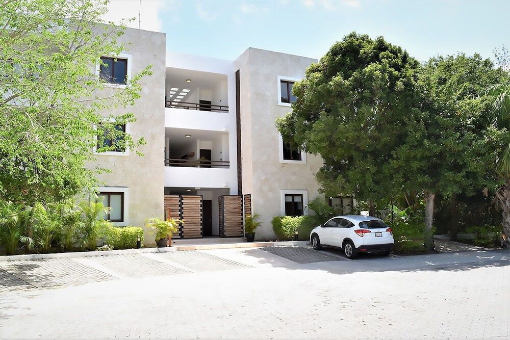 Lote 49