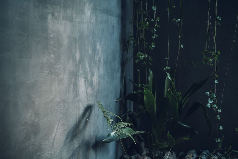 undefined Nozomu House Kyoto 2