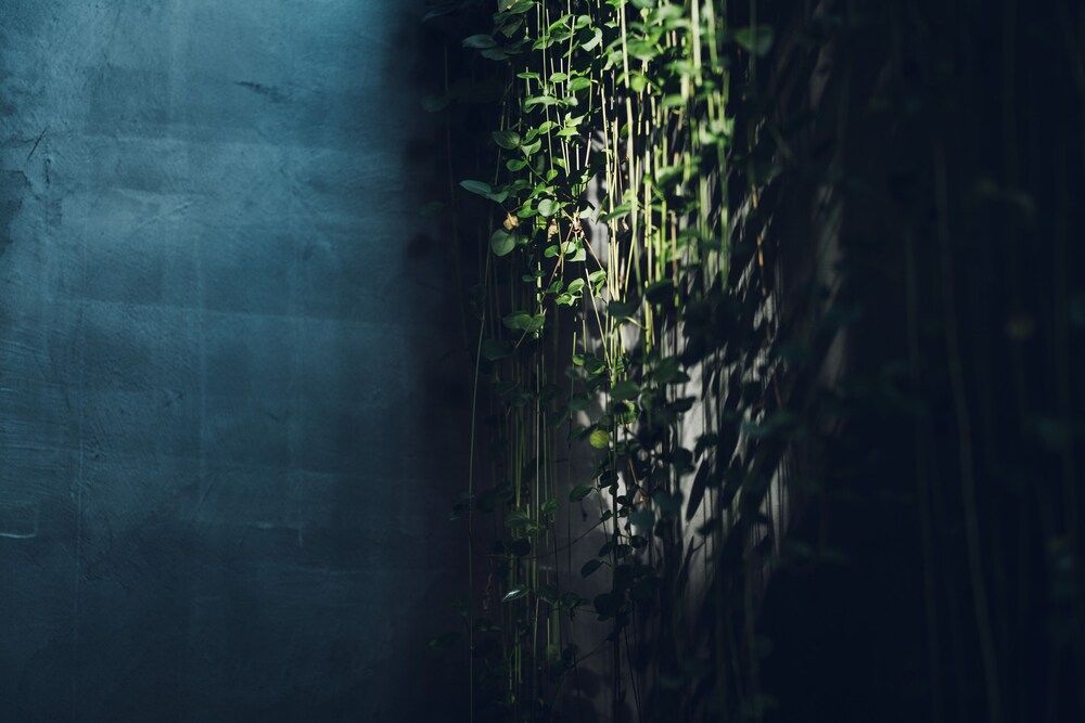 undefined Nozomu House Kyoto 3