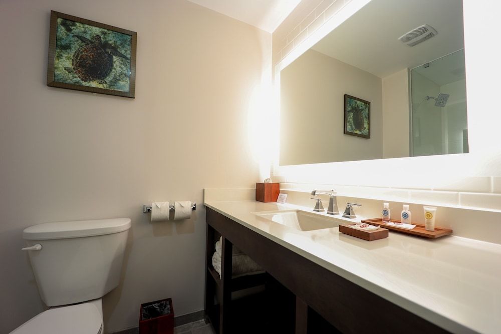 Comfort Inn & Suites Tobago Standard Room, 1 King Bed, Non Smoking 3