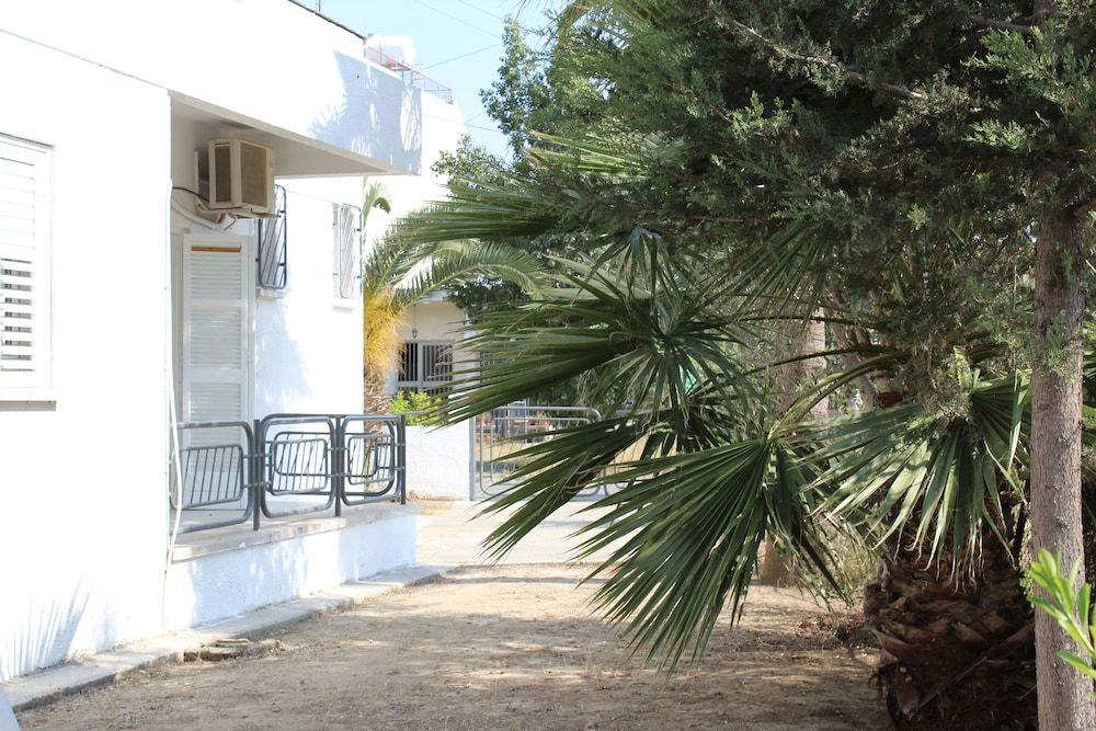 Costas Hostel Action 2