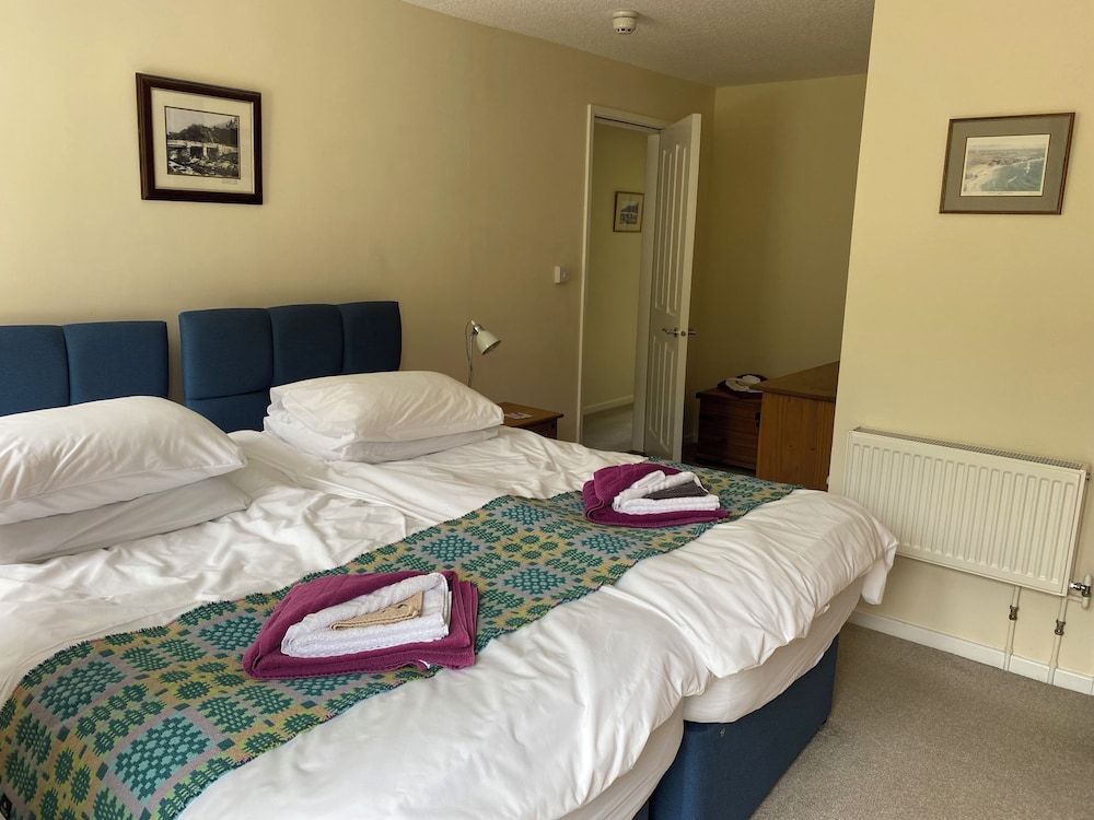 Plas Penaeldroch Manor River view-Derw suite (floor 2) 3