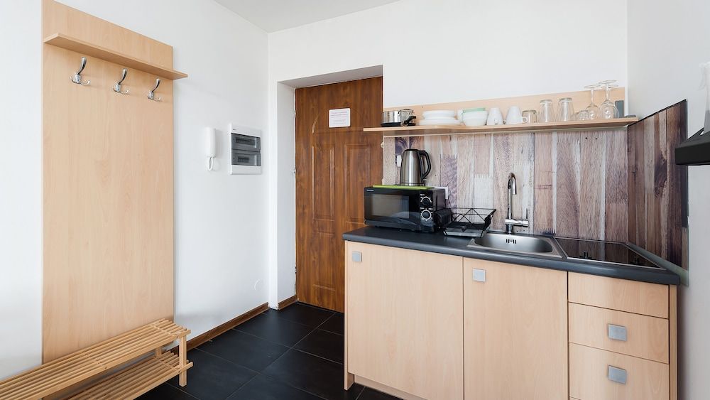 Sun & Snow Koscielisko Residence Studio (1F) 5