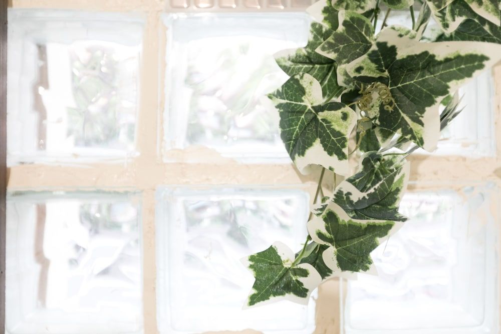 undefined Happy House 2