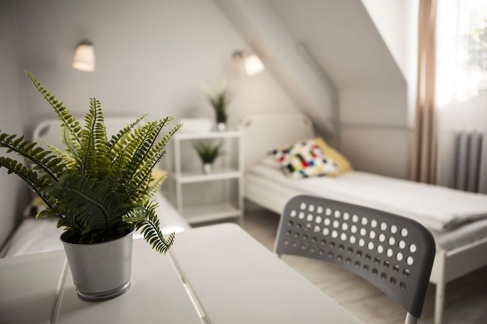 Bi-Pi Hostel Double Room, Shared Bathroom