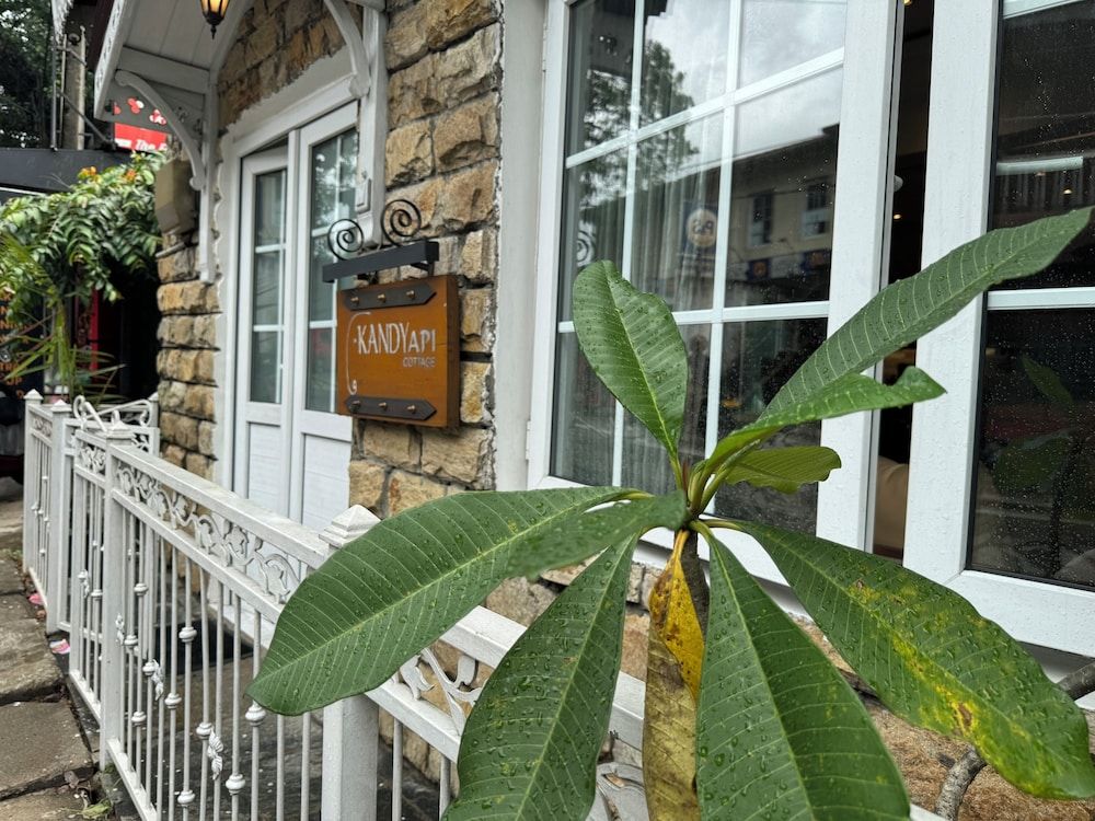 undefined Kandy Api Cottage 3