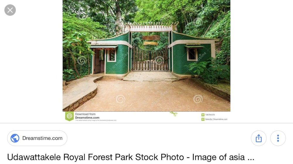 undefined Kandy Api Cottage 9