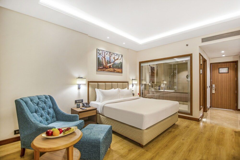Deluxe King Double Room