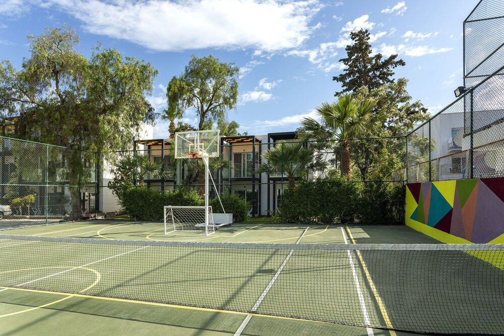 Basketball Court