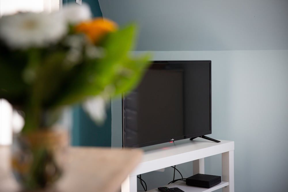 Maison du jardin botanique Junior Suite 12