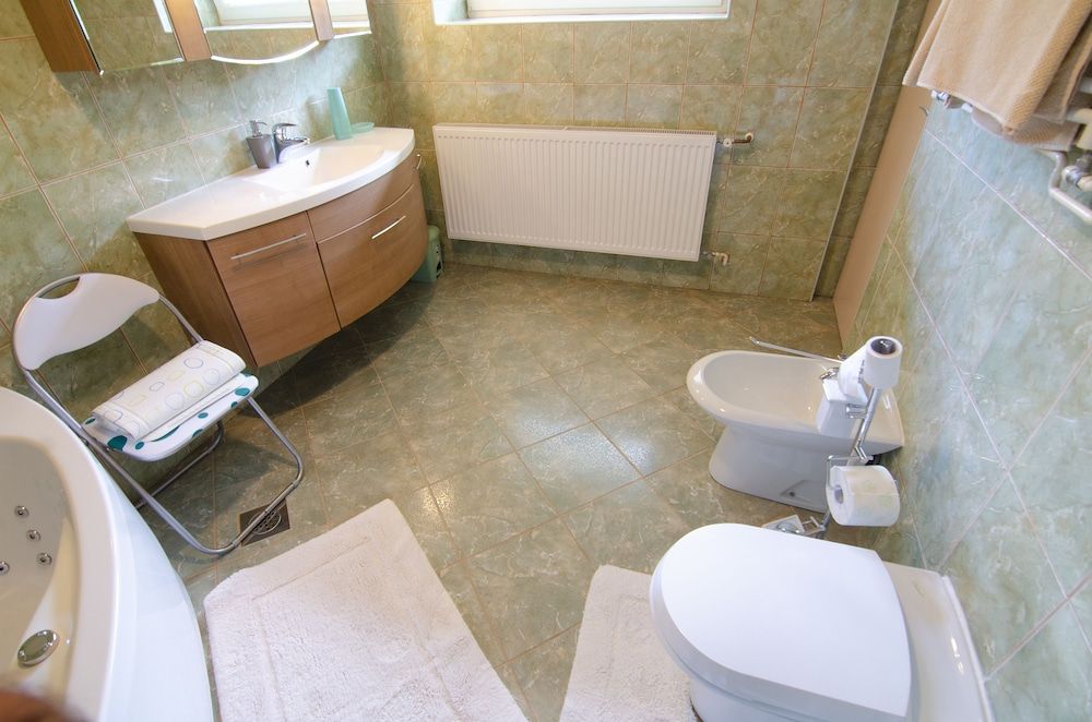 Apartments & Rooms Banich Classic Apartment, Garden View 5