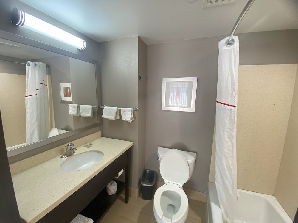 Red Roof Inn Pittsburgh - McKnight Rd Standard Room, 1 King Bed, Non Smoking 5