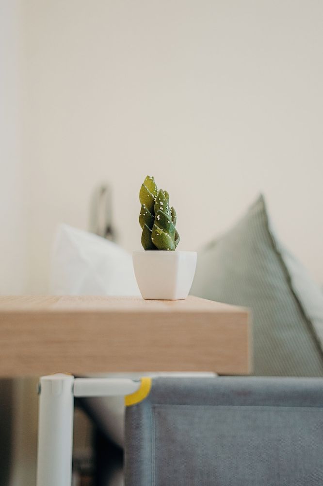 Green Coast Surfhouse Double Room, shared bathroom (Rua 37) 8