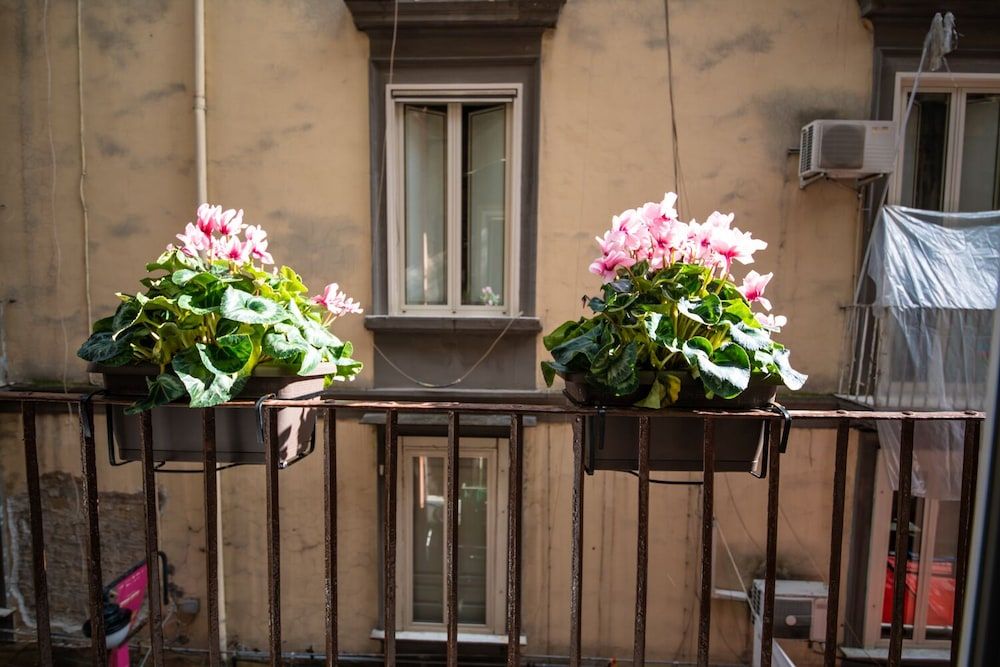 undefined Napoli Time 10