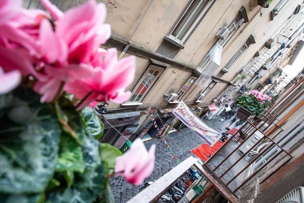 undefined Napoli Time 8