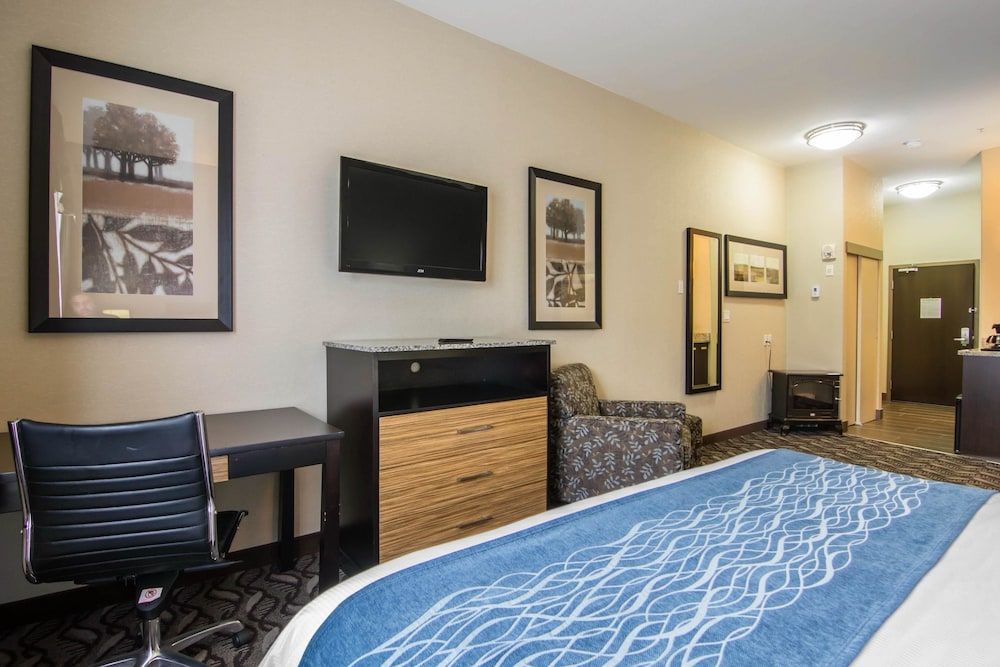Suite, 1 King Bed