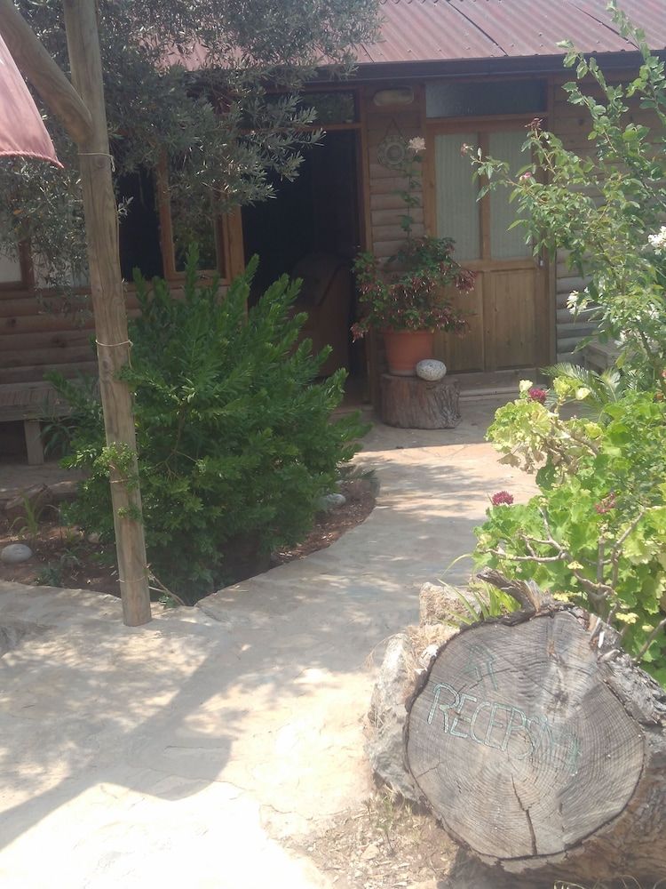 undefined Olive Garden Kabak 6