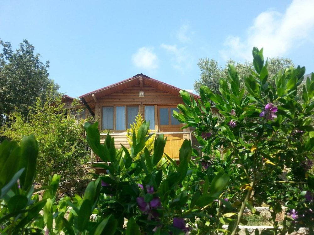 undefined Olive Garden Kabak 7