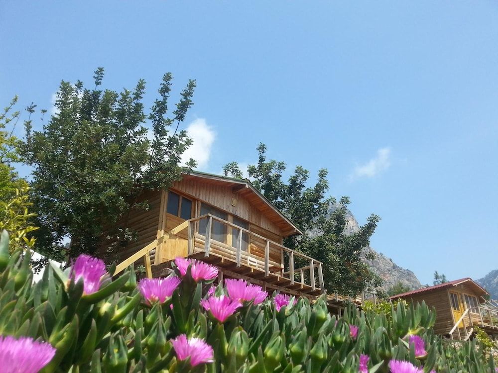 undefined Olive Garden Kabak 10