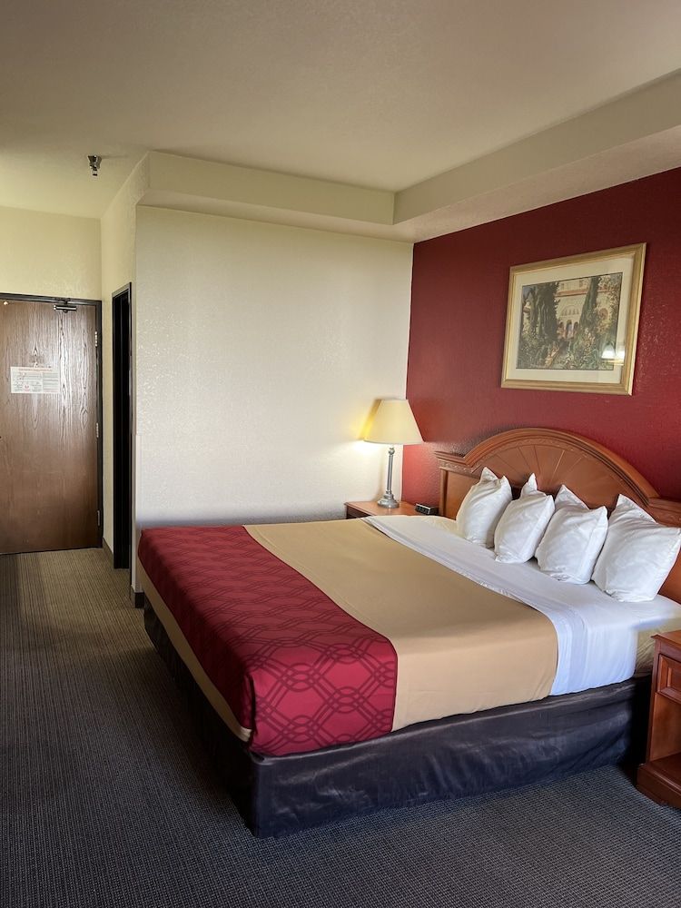Basic Single Room, 1 King Bed
