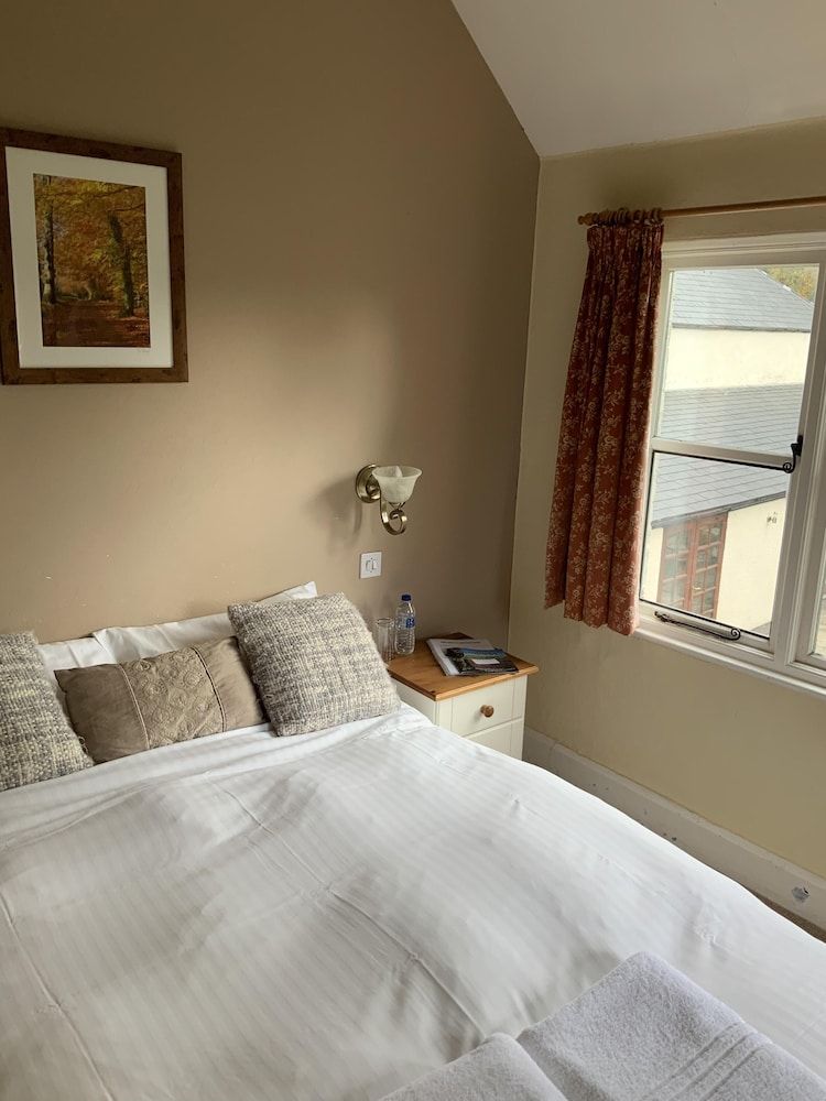 The Carew Arms Comfort Double Room, Ensuite (Room 3,4 and 5) 7