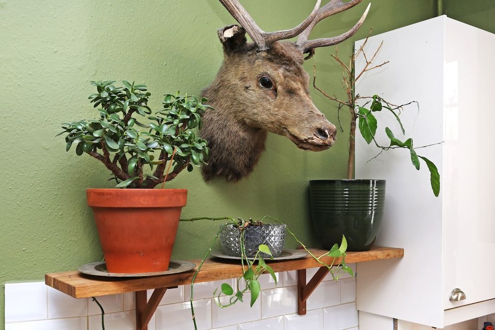 JOIVY Old Town Gem - Apartment With Great City Views Apartment (1 Bedroom) 9