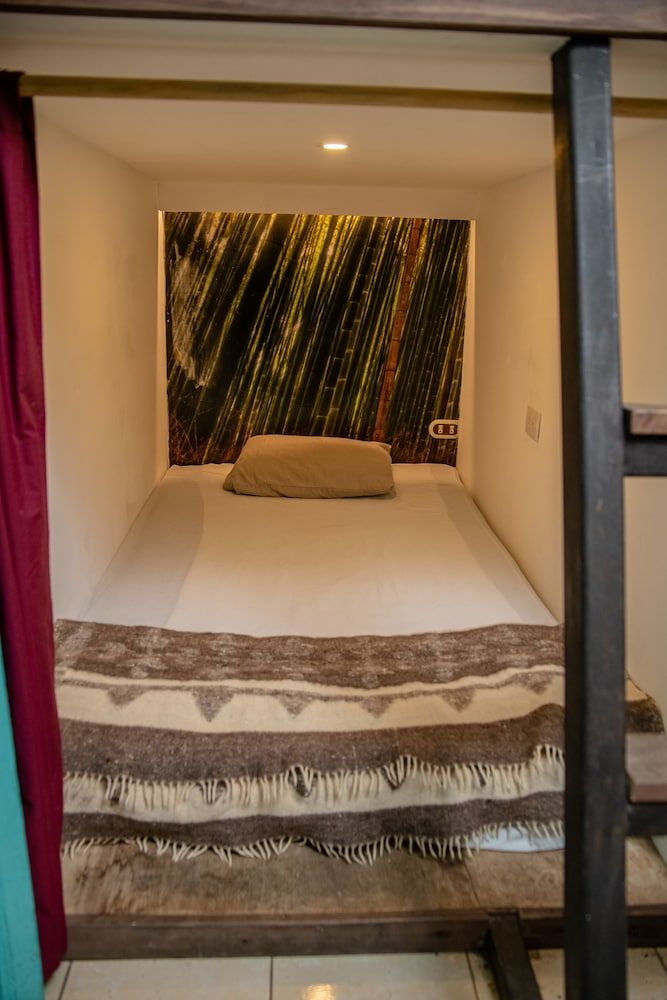 Basic Shared Dormitory