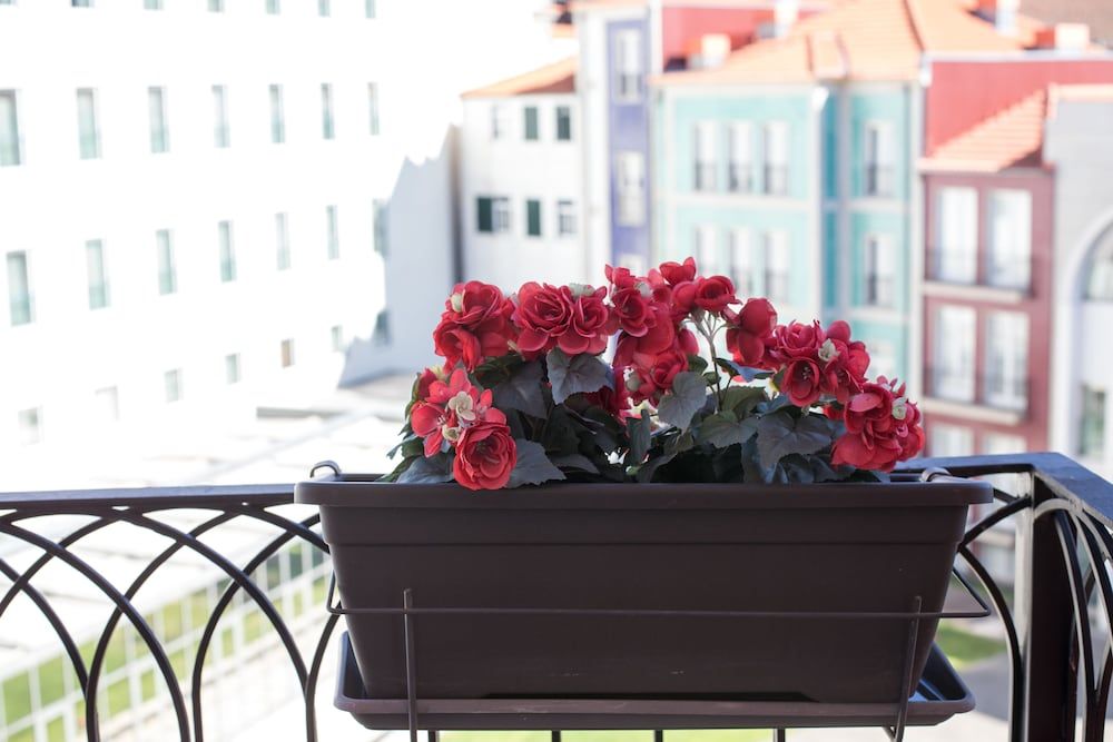 Cardosas Story Apart byPortoCityHosts Studio, Balcony 17