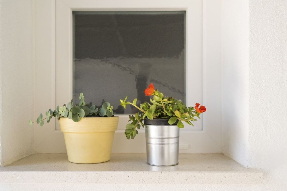 Apartment Dinka with terrace Apartment, Terrace 25